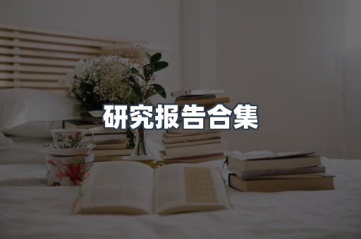 研究报告合集